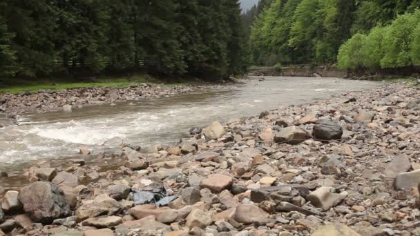 Проходящая река с камнями — стоковое видео