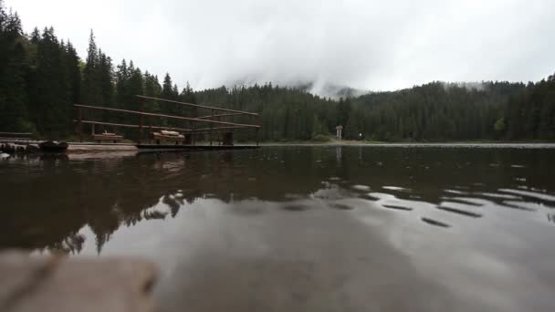 Beautiful pond with fence — Stock Video