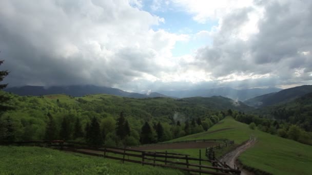 Paisaje del prado — Vídeos de Stock