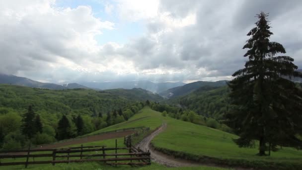 Paisaje del prado — Vídeos de Stock