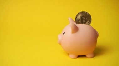 Pembe kumbarada Bitcoin şifreli para