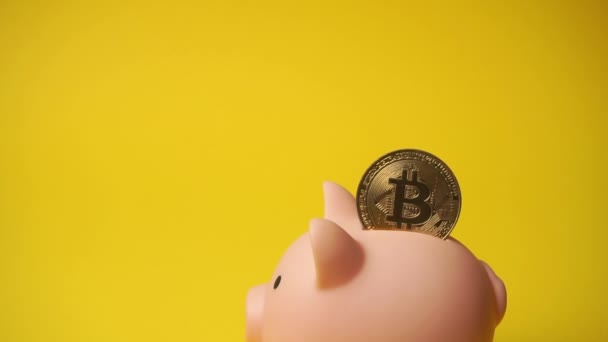 Bitcoin χρυσό νόμισμα στον κουμπαρά. — Αρχείο Βίντεο
