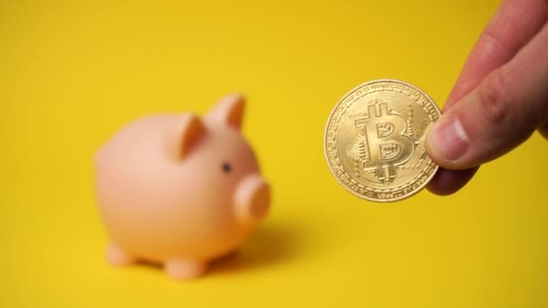 Mostrando Bitcoin cripto moneda con alcancía en el fondo — Vídeo de stock