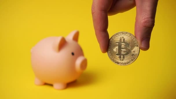 Golden Bitcoin cripto moneda en las manos y caja de dinero detrás. — Vídeos de Stock
