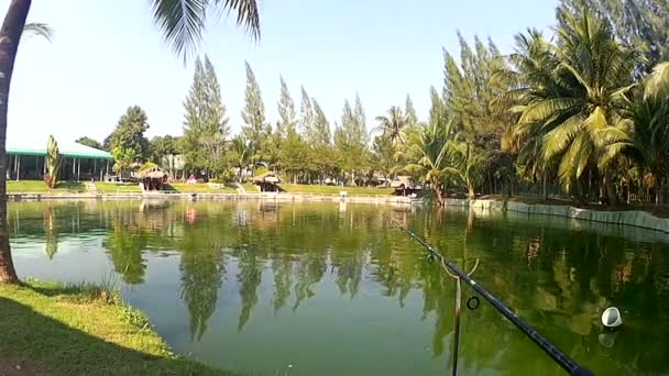 在池塘边钓鱼 — 图库视频影像