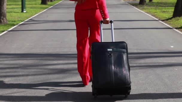Женщина с большим багажом — стоковое видео