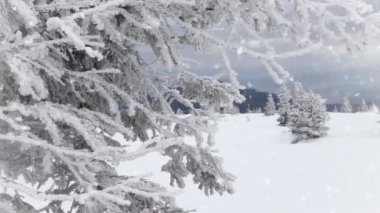 Parkta yağan kar kış ağaçlar. Ağır çekim