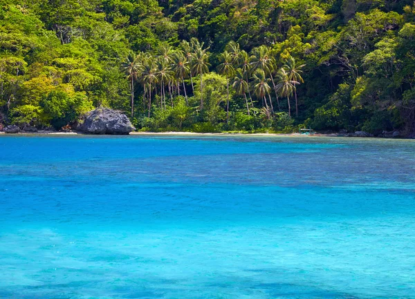 Blue bay and palm trees. El Nido,  Palawan island, Philippines — Stock Photo, Image