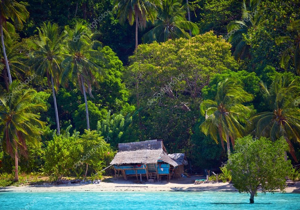 House of Robinson Crusoe. Beautiful island with blue bay and pal Stock  Photo by ©silverjohn 111700658