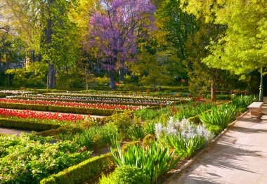 Madrid Botanik Bahçesi - gerçek Jardin Botanico. Bahar zamanı