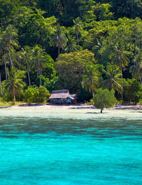 Robinson Crusoe evi. Güzel ada, koyu mavi ve tr palmiye