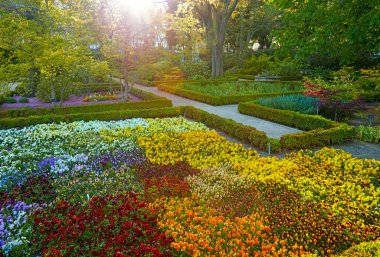 Madrid Botanik Bahçesi - gerçek Jardin Botanico. Bahar zamanı