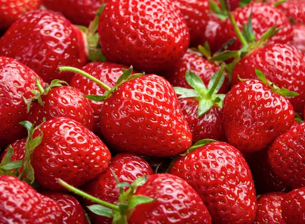 Erdbeer-Hintergrund. Rote reife Bio-Erdbeeren auf dem Markt — Stockfoto