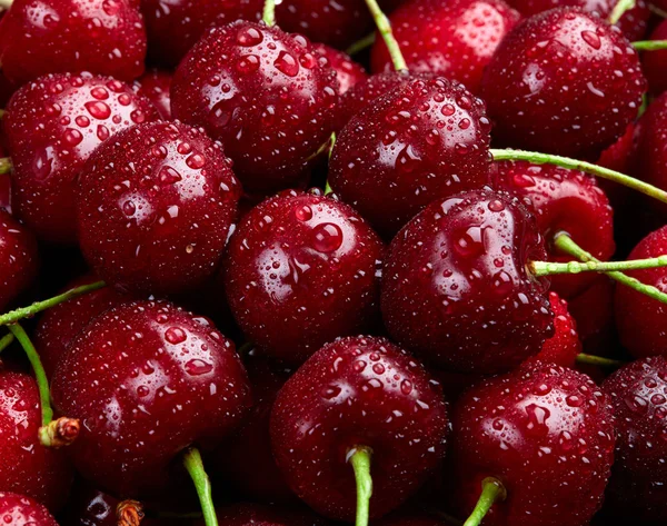 Fondo de cereza. Cerezas orgánicas dulces con gotas de agua en ma — Foto de Stock