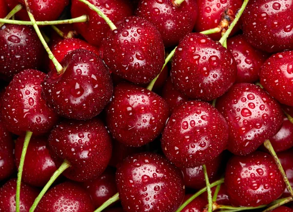 Fondo de cereza. Cerezas orgánicas dulces con gotas de agua en el mar — Foto de Stock