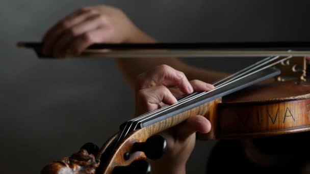 Alta qualità colpo di musicista suonare il violino. Sfondo scuro. UHD 4K — Video Stock