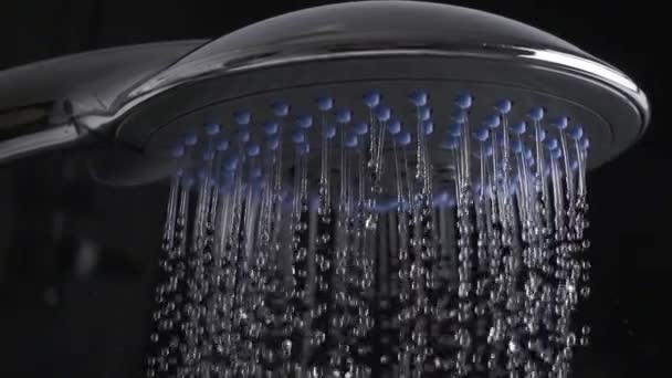 Slow motion shot of shower head with flowing water — Stock Video