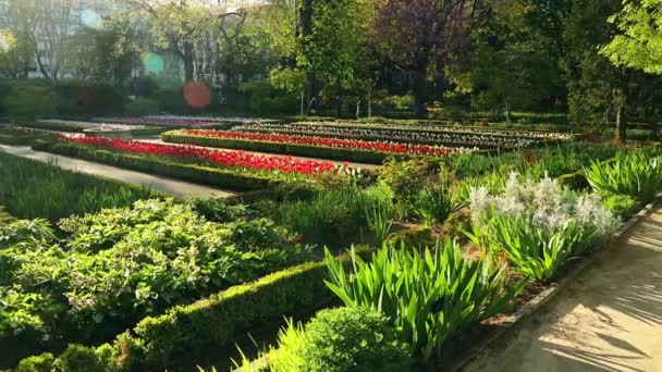 Madrid botanischer Garten - echter botanischer Jardin. Schwenkschuss — Stockvideo