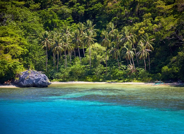 Blue bay i palm drzew. El Nido, Palawan island, Filipiny — Zdjęcie stockowe