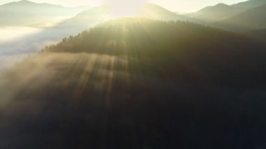 Dağlarda nefes kesen gün doğumu. Güneş dağın arkasından yükselir ve sisle kaplı ağaçları aydınlatır. Güneş ışınları dağın tepesindeki ağaçların arasından geçer.