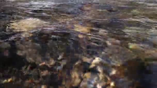 Onde superficie fiume di montagna. Ondulazione nell'acqua. La fotocamera affonda lentamente nell'acqua limpida del torrente. Rallentatore, UHD — Video Stock