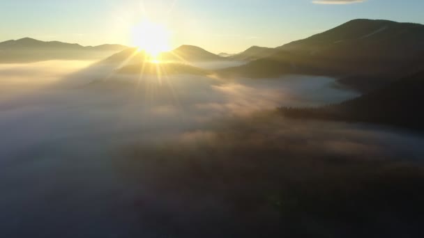 Scatto aereo di maestosa alba in montagna. La valle tra le montagne è coperta di nebbia ed è illuminata dai caldi raggi del sole che sorge. Montagne coperte di foresta naturale — Video Stock