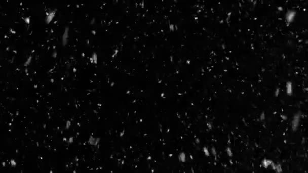 Sne storm på sort baggrund. Rigtig høj kvalitet snefnug ikke 3D grafik. Sneen falder om natten. Naturlig vinterbaggrund. 4K, UHD – Stock-video