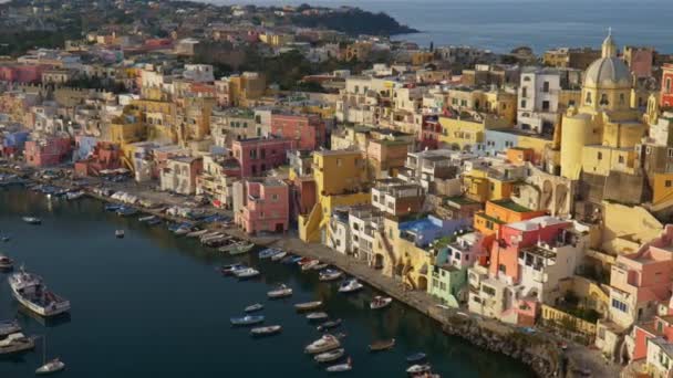 Zooma ut utskjuten Island Procida. Neapel, Italien. Fiskeby med färgglada hus och båtar i viken. Fiskmåsar flyger över. — Stockvideo