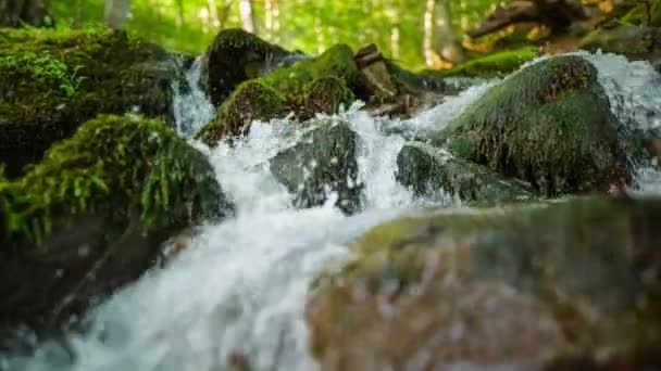 Río de montaña más puro del bosque. Corriente de agua se mueve entre las piedras cubiertas de musgo. Disparo de gimbal en cámara lenta HDR. Naturaleza serie de fondo — Vídeo de stock