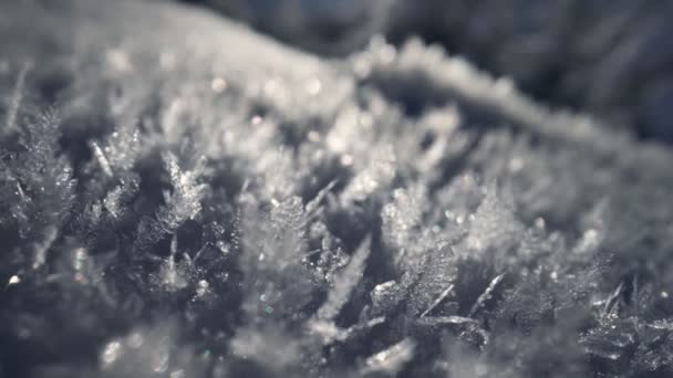 Cristais de neve em luz de fundo. Deslizando super macro tiro de grãos de neve fresca ao sol da manhã. Inverno neve conceito — Vídeo de Stock