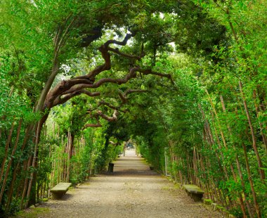Boboli Bahçeleri. Floransa İtalya