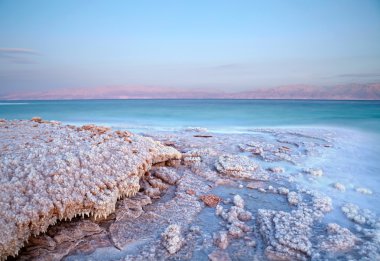 Dead Sea coastline. Israel clipart