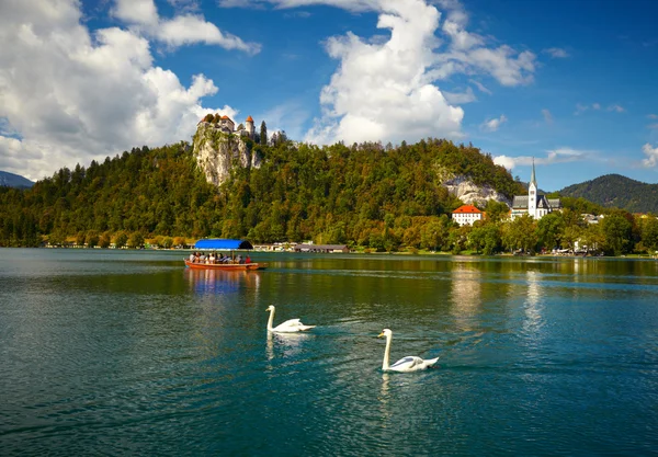 Bledi-tó. Szlovénia — Stock Fotó