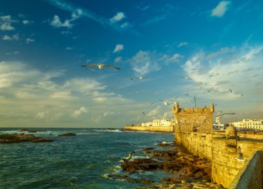 Essaouira kale, Fas, Afrika
