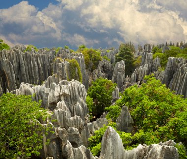 taş orman shi lin. milli parkta yunnan Eyaleti, Çin