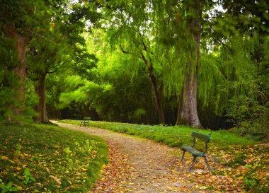 Yeşil Şehir Parkı. Lisbon, Portekiz
