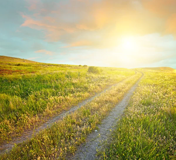 Paesaggio estivo con erba verde, strada e nuvole al tramonto — Foto Stock