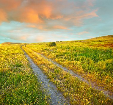 Yaz yeşil çimen, yol ve gün batımı bulutlar, yatay