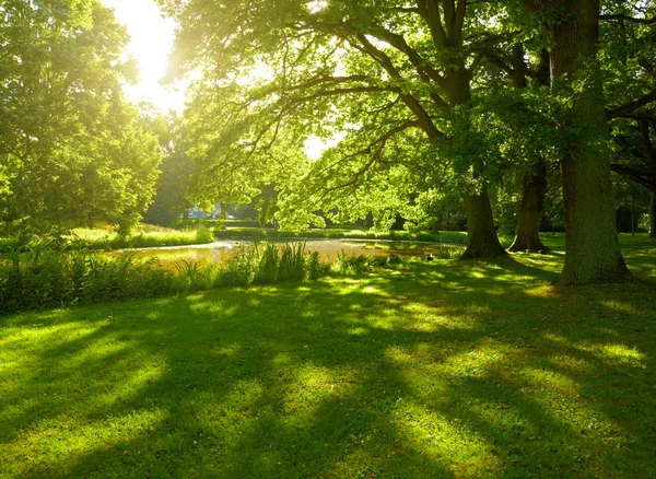 Parque de verano en Hamburgo, Alemania — Foto de Stock