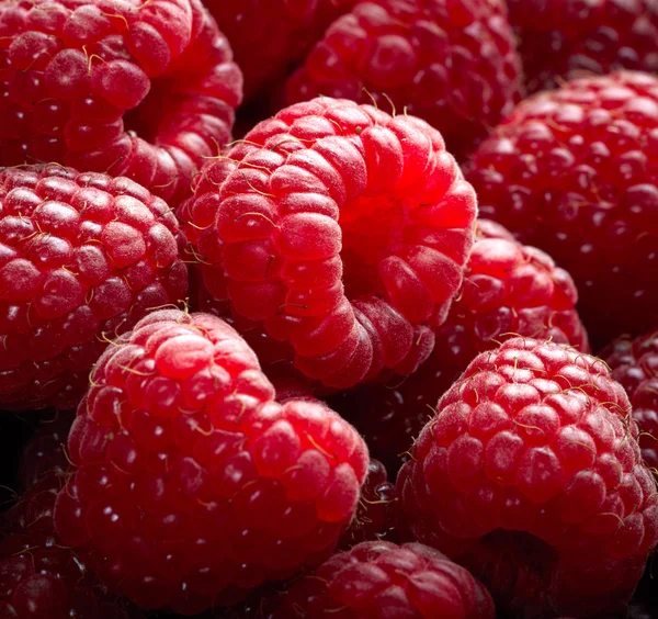 Raspberry fruit background — Stock Photo, Image