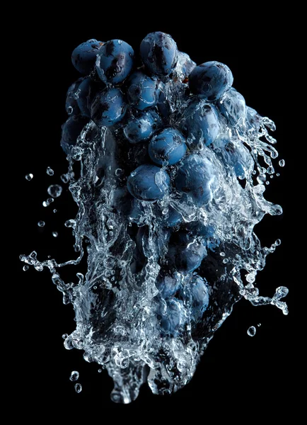 Ramo de uvas com salpicos de água — Fotografia de Stock