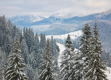 Dağlardaki ağaçları kış