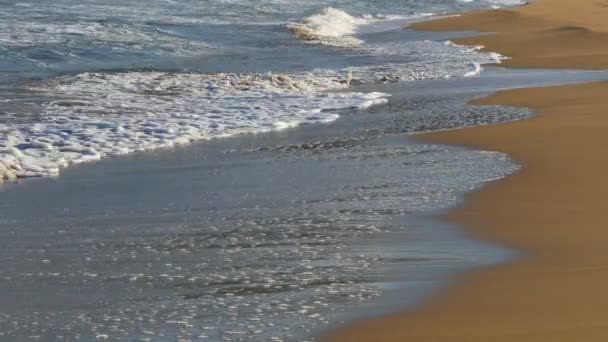 Ondas na praia arenosa — Vídeo de Stock