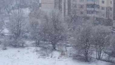 Düşen kar Park. UHD, 4k