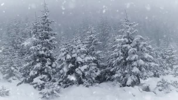 Nieve cayendo en un parque de invierno. Movimiento lento — Vídeos de Stock