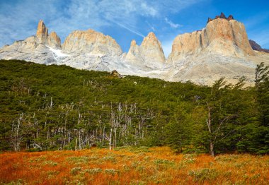  Torres del Paine national park.  Patagonia, Chile clipart