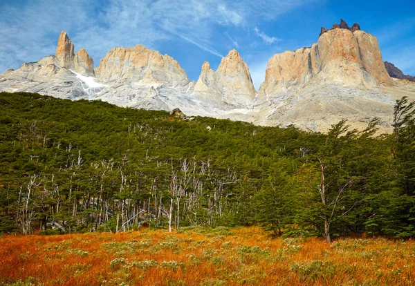 Torres del Paine Nemzeti park. Patagónia, Chile — Stock Fotó