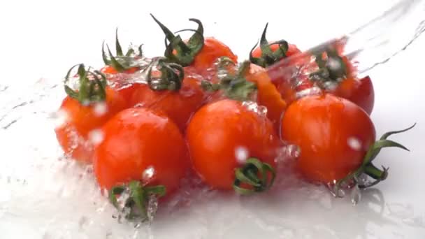 Tomaten mit Wasserspritzer — Stockvideo