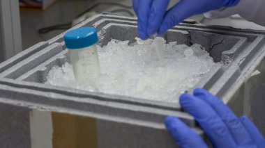 Küçük tüpler ve falcone tüplü laboratuvar buz kutusu. Bilimadamı laboratuvarda moleküler biyoloji analizi yapıyor.