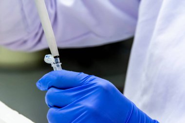 Bilim adamı aşı araştırması için koruyucu eldivenler giyerken numuneyi boruya yerleştiriyor.